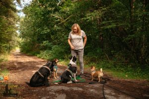 Agnieszka Wojdat szkolenie psów Warszawa Kozienice tresura