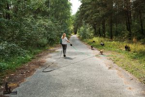Agnieszka Wojdat szkolenie psów Warszawa Kozienice tresura