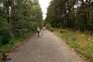 Agnieszka Wojdat szkolenie psów Warszawa Kozienice tresura